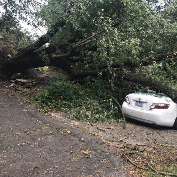 storm damage