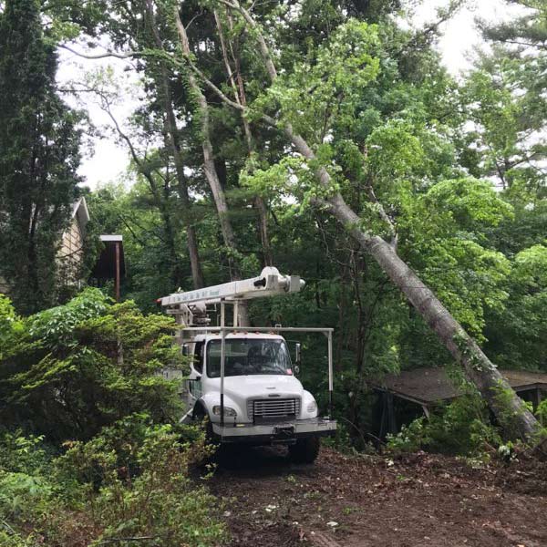 storm damage